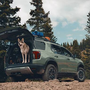 2027 Honda Passport TrailSport Elite in Ash Green Metallic back forest trail with a dog in the open trunk (Mid-Size SUV).